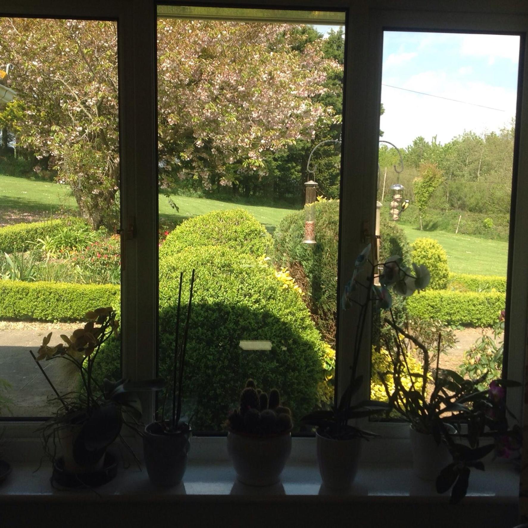 Estuary View Farm Bed & Breakfast Кингсбридж Екстериор снимка